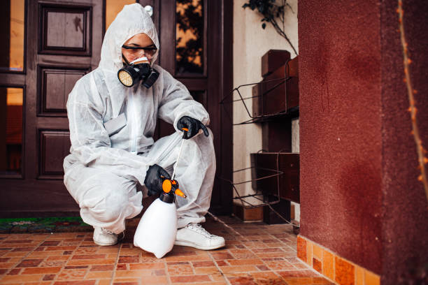 Multi-Unit and Airbnb Bed Bug Protocol in Pecan Plantation