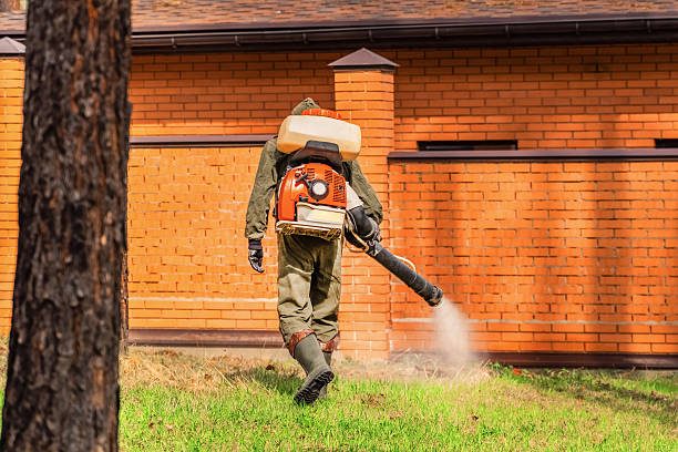 Bed Bug Clearance Verification and Documentation in Pecan Plantation